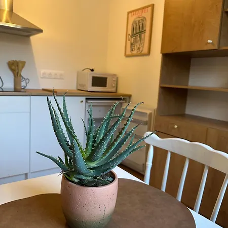 Avec Jardin Arboré 15 Min De Caen * Saint-Manvieu-Norrey