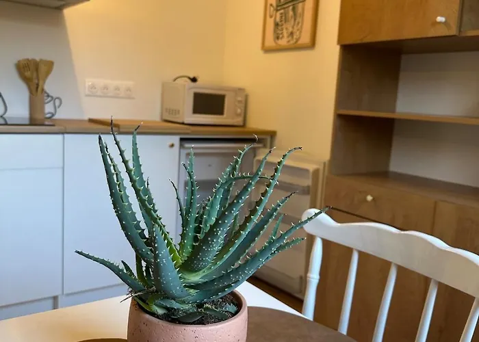 Avec Jardin Arboré 15 Min De Caen * Saint-Manvieu-Norrey